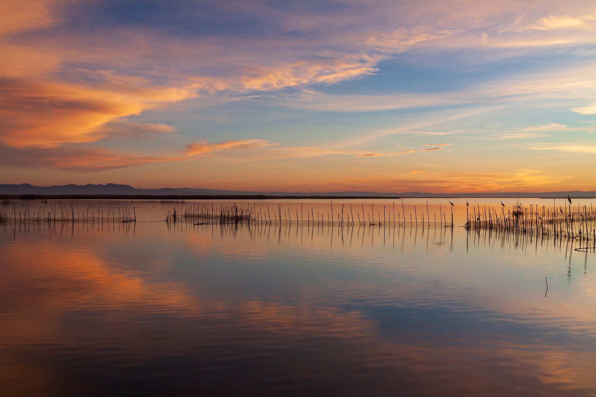 Barques traditionnelles au coucher du soleil sur le lac de l'Albufera près d'El Palmar